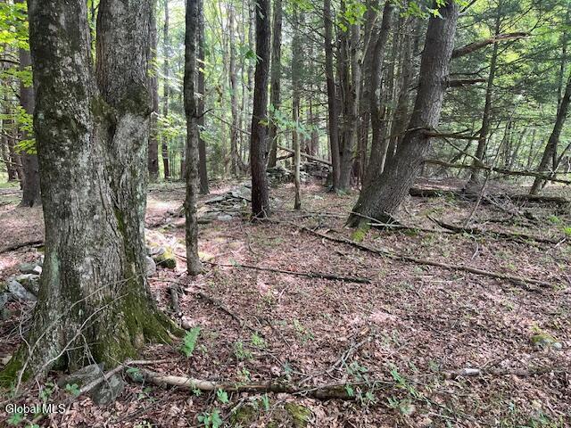 51 Circle Drive West Coxsackie NY 12192
