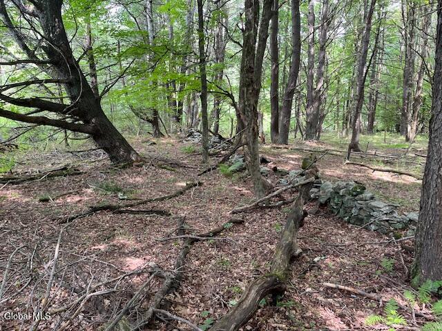 51 Circle Drive West Coxsackie NY 12192