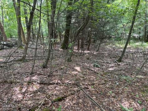 51 Circle Drive West Coxsackie NY 12192
