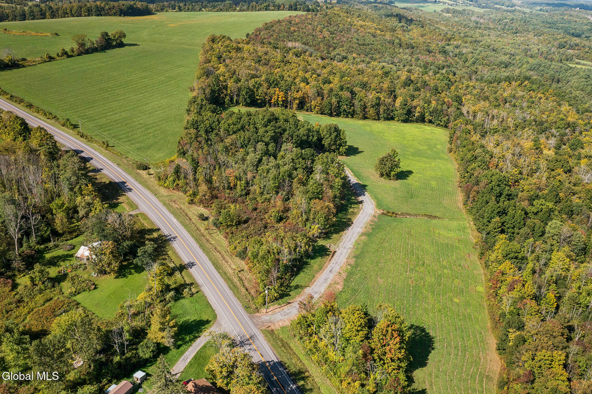 1118 Corbin Hill Road Root NY 12166