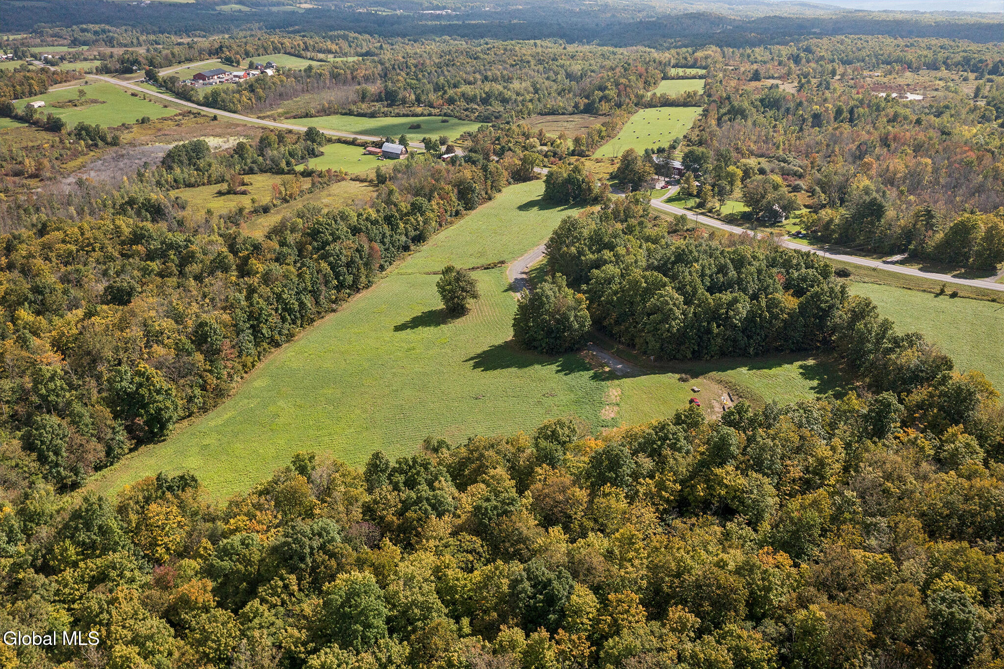 1118 Corbin Hill Road Root NY 12166
