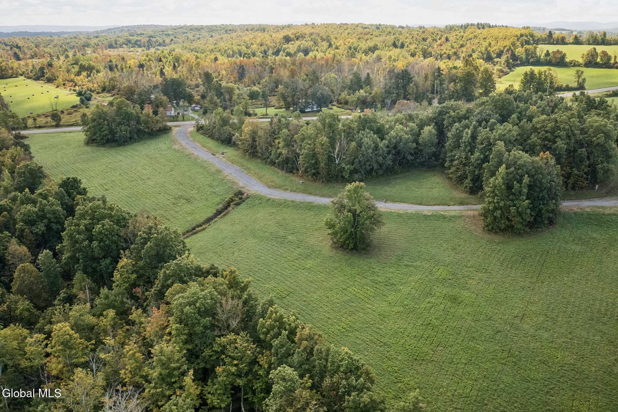 1118 Corbin Hill Road Root NY 12166