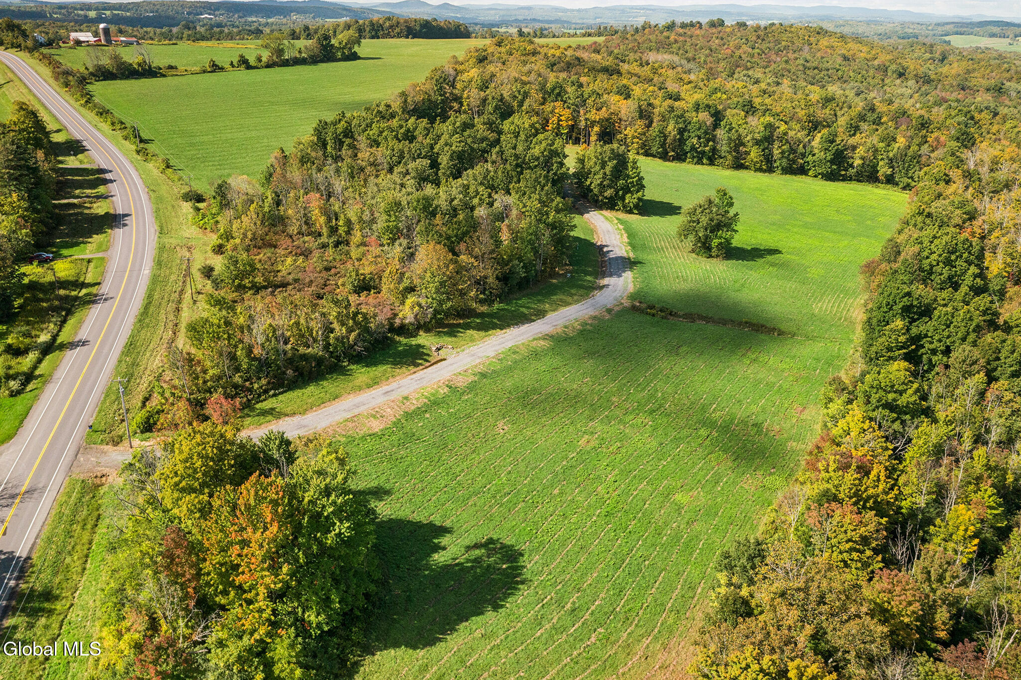 1118 Corbin Hill Road Root NY 12166