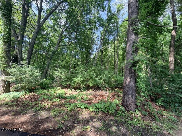 390 Glen Lake Road Lake George NY 12845