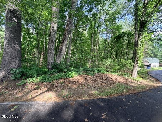 390 Glen Lake Road Lake George NY 12845
