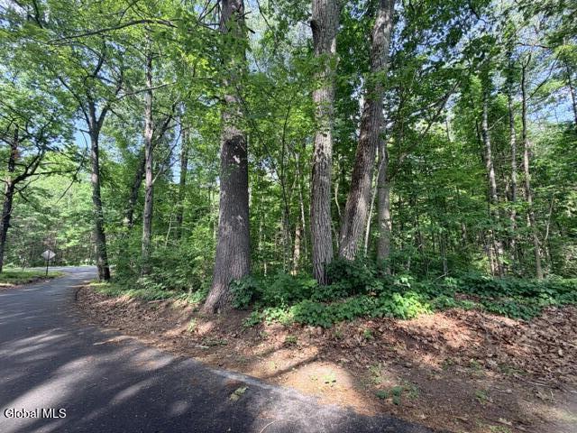 390 Glen Lake Road Lake George NY 12845