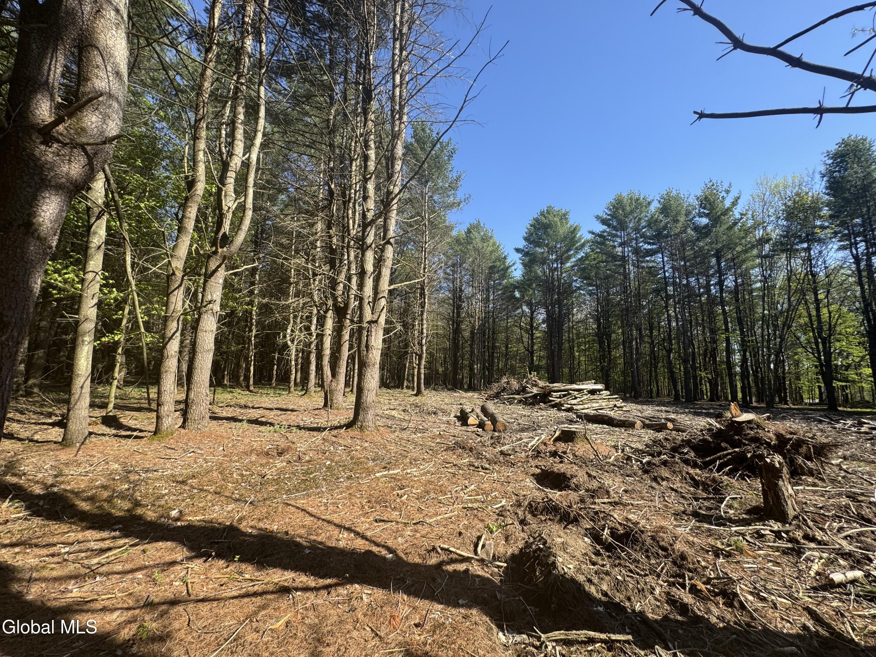 L33.05 Glimmerglen Road Cooperstown NY 13326