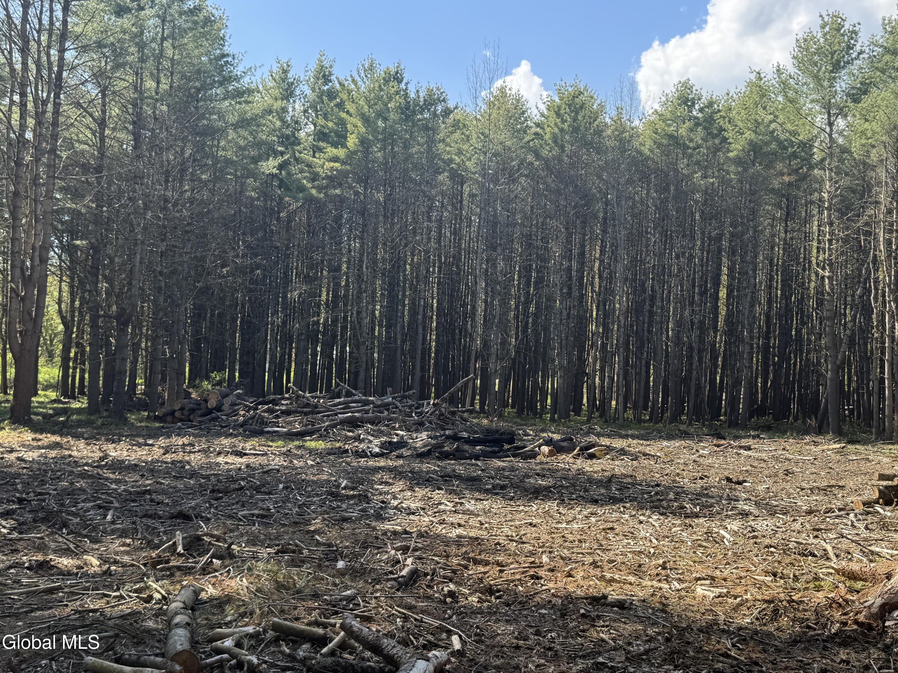 L33.05 Glimmerglen Road Cooperstown NY 13326