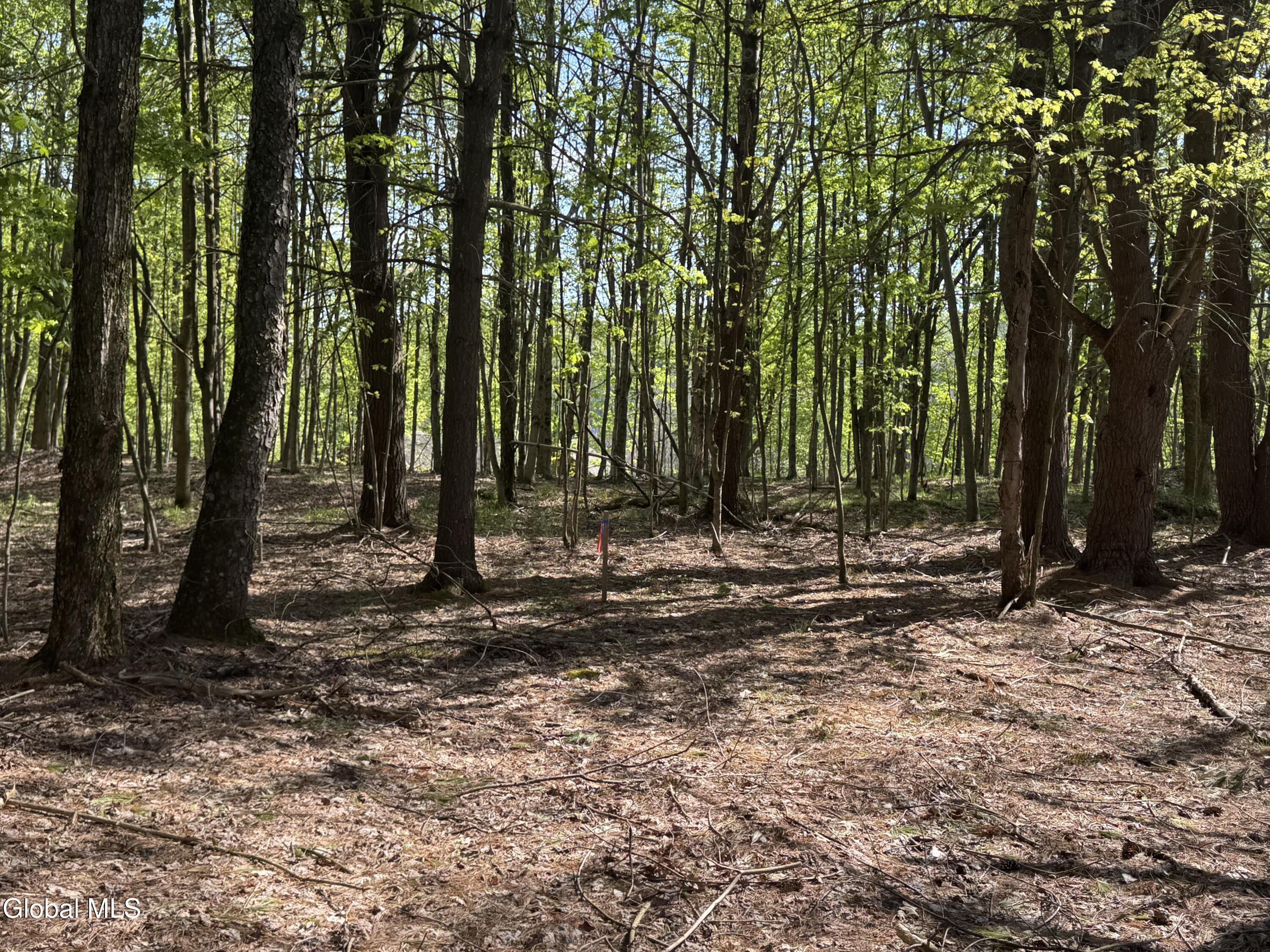 L33.05 Glimmerglen Road Cooperstown NY 13326