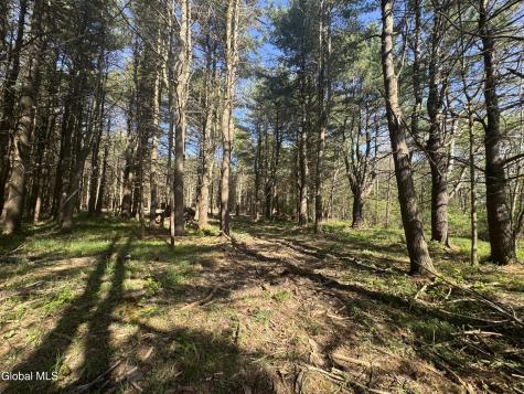 L33.05 Glimmerglen Road Cooperstown NY 13326