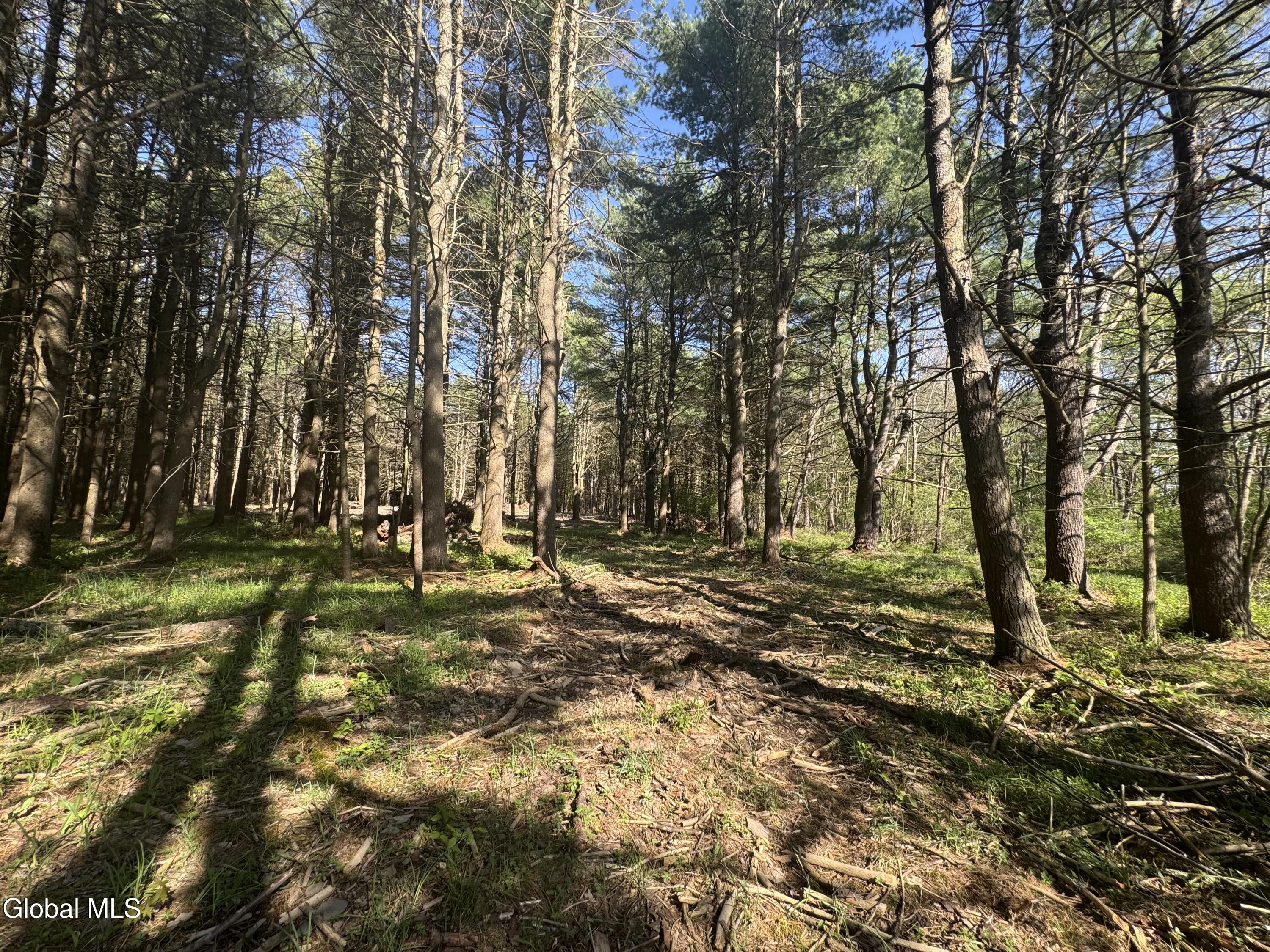 L33.05 Glimmerglen Road Cooperstown NY 13326