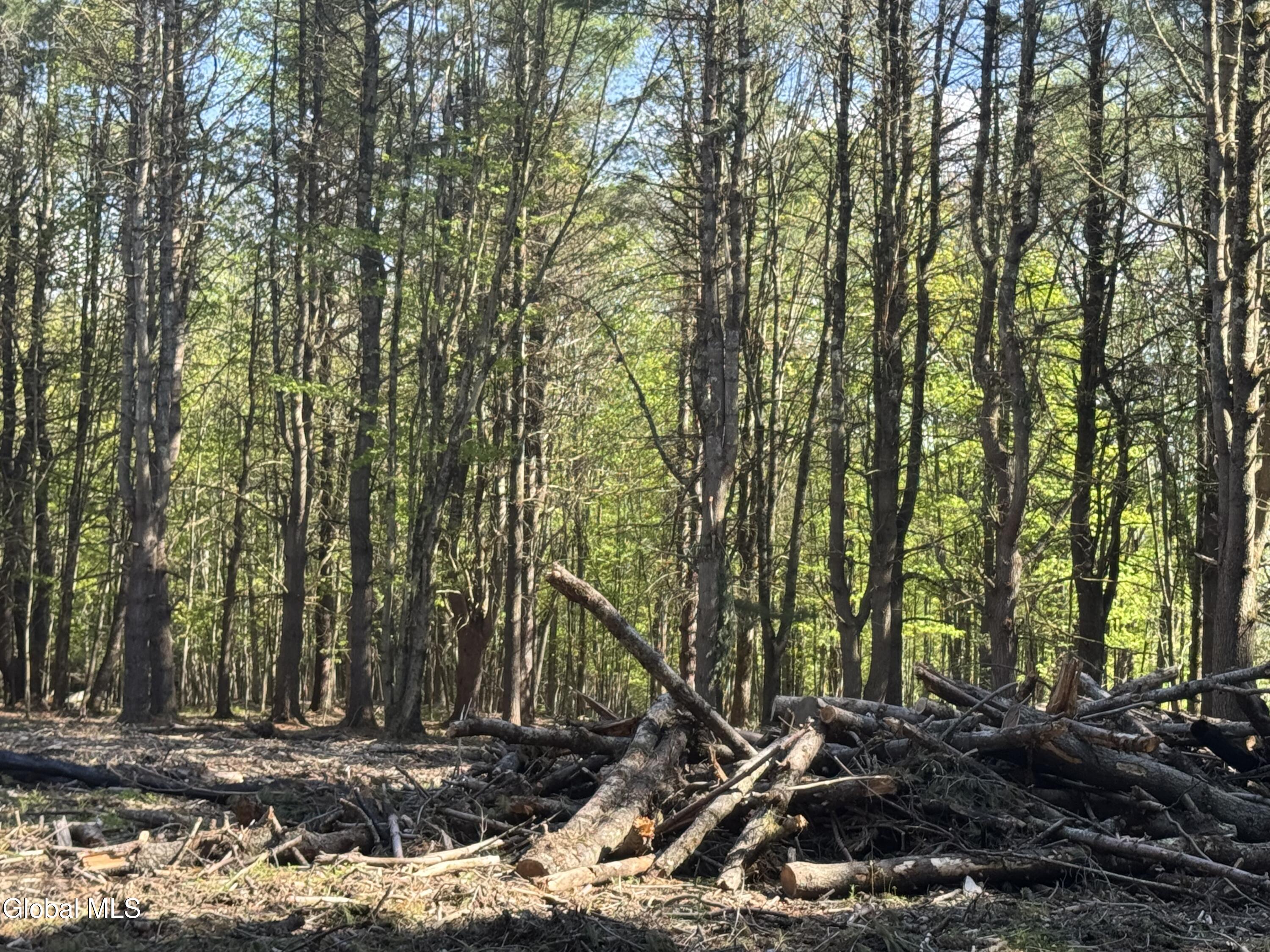 L33.05 Glimmerglen Road Cooperstown NY 13326
