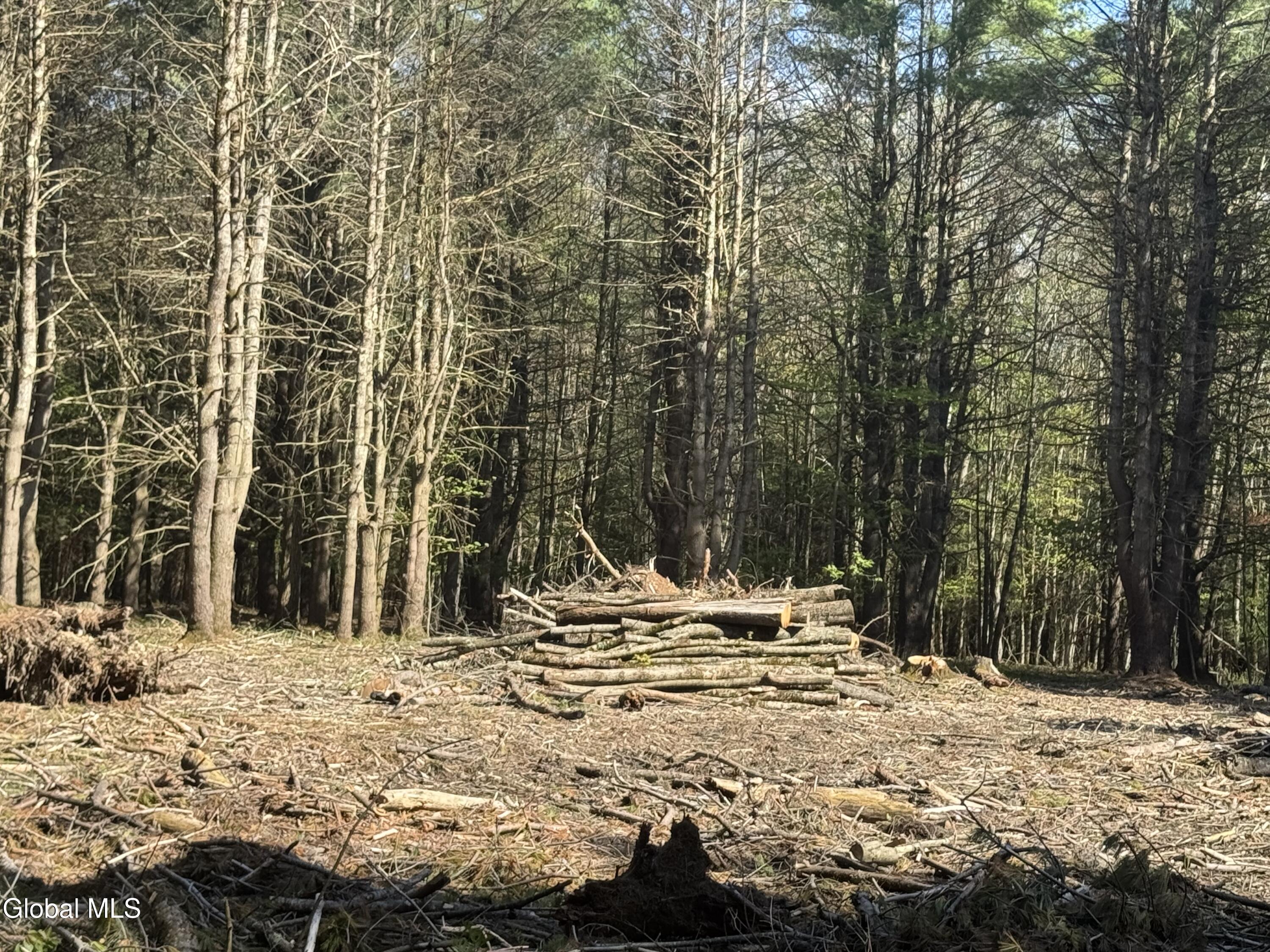 L33.05 Glimmerglen Road Cooperstown NY 13326