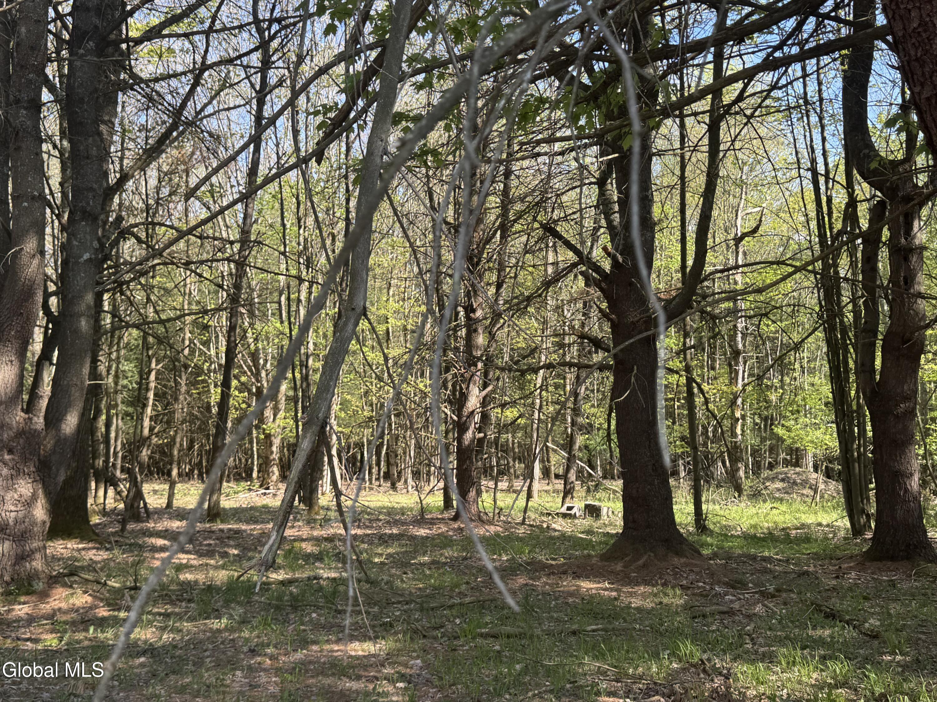 L33.05 Glimmerglen Road Cooperstown NY 13326