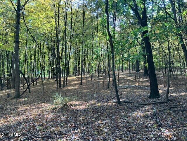 L4 Burden Lake Road Averill Park NY 12018