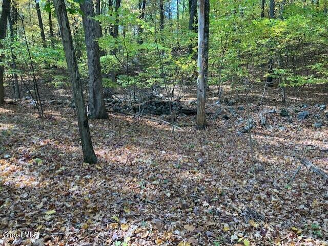 L4 Burden Lake Road Averill Park NY 12018