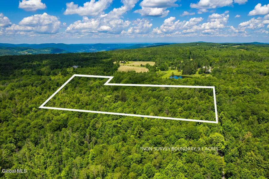 L4.111 Anderson Road Broome NY 12122