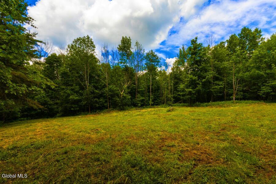L4.111 Anderson Road Broome NY 12122