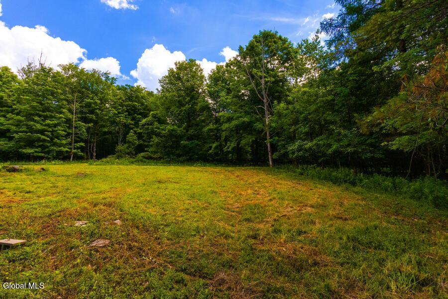 L4.111 Anderson Road Broome NY 12122