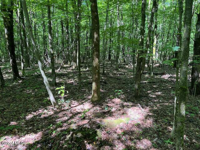 L4.111 Anderson Road Broome NY 12122
