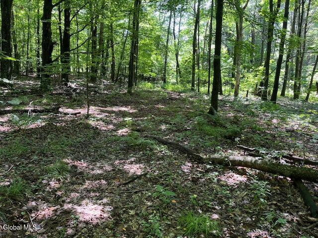 L4.111 Anderson Road Broome NY 12122