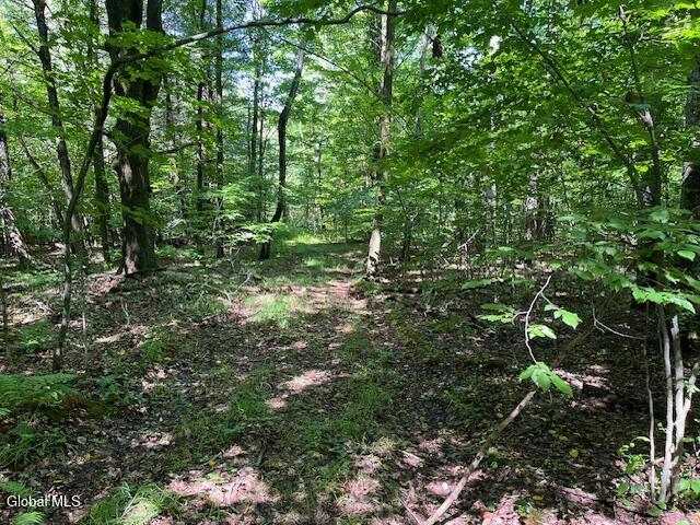 L4.111 Anderson Road Broome NY 12122