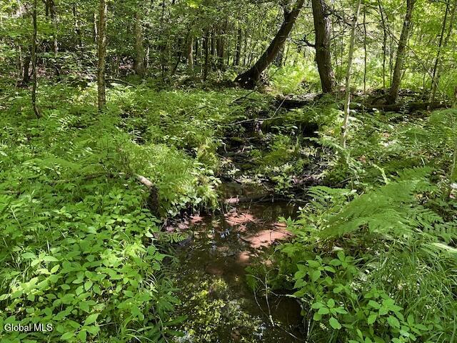 L4.111 Anderson Road Broome NY 12122