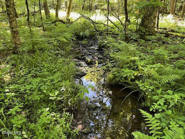 L4.111 Anderson Road Broome NY 12122