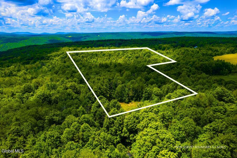 L4.111 Anderson Road Broome NY 12122