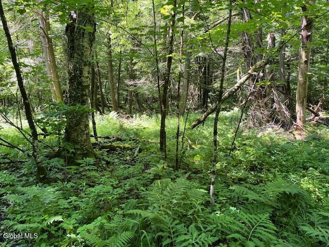 L4.111 Anderson Road Broome NY 12122