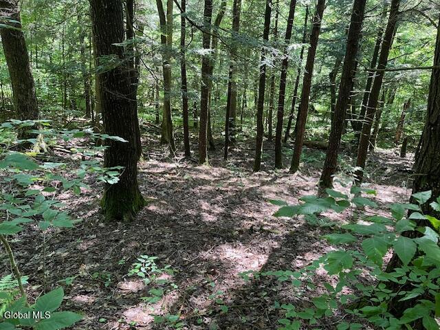 L4.111 Anderson Road Broome NY 12122