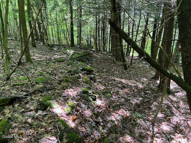 L4.111 Anderson Road Broome NY 12122