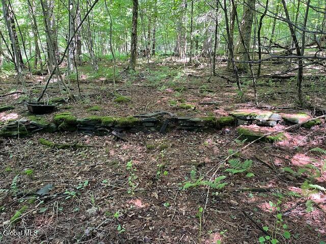 L4.111 Anderson Road Broome NY 12122