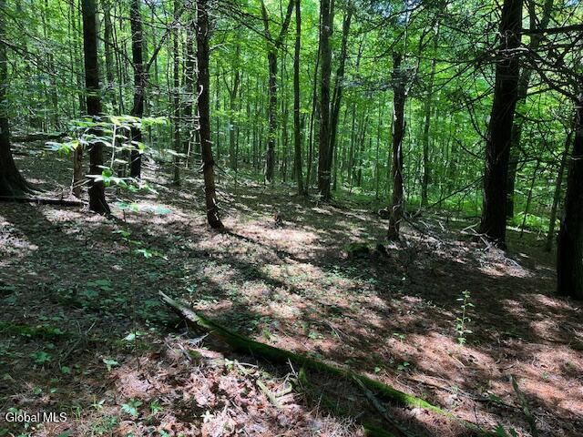 L4.111 Anderson Road Broome NY 12122