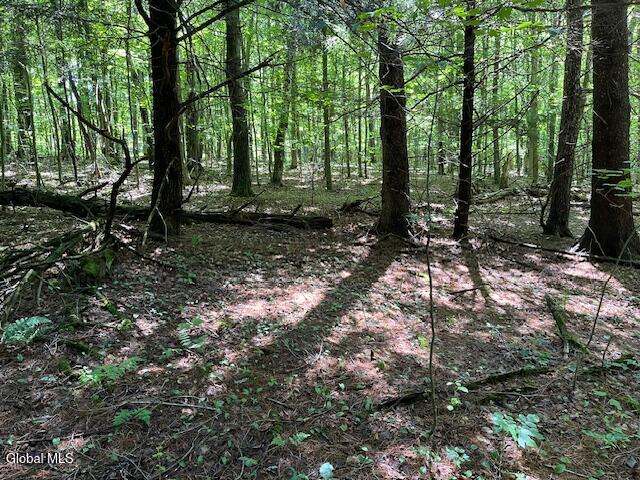 L4.111 Anderson Road Broome NY 12122