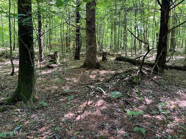 L4.111 Anderson Road Broome NY 12122