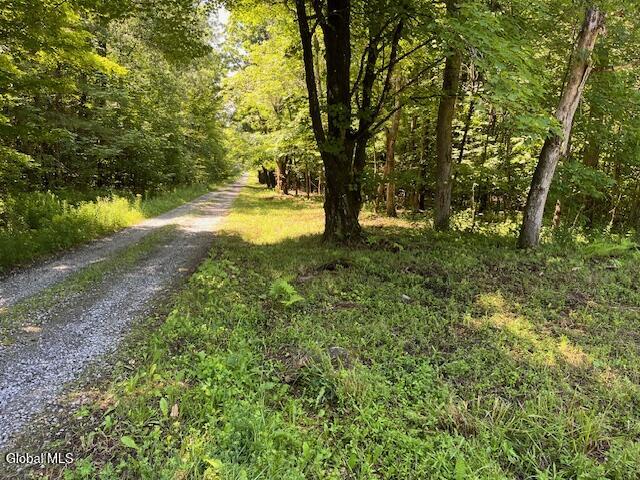 L4.111 Anderson Road Broome NY 12122