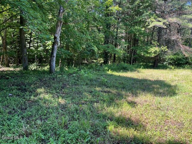 L4.111 Anderson Road Broome NY 12122