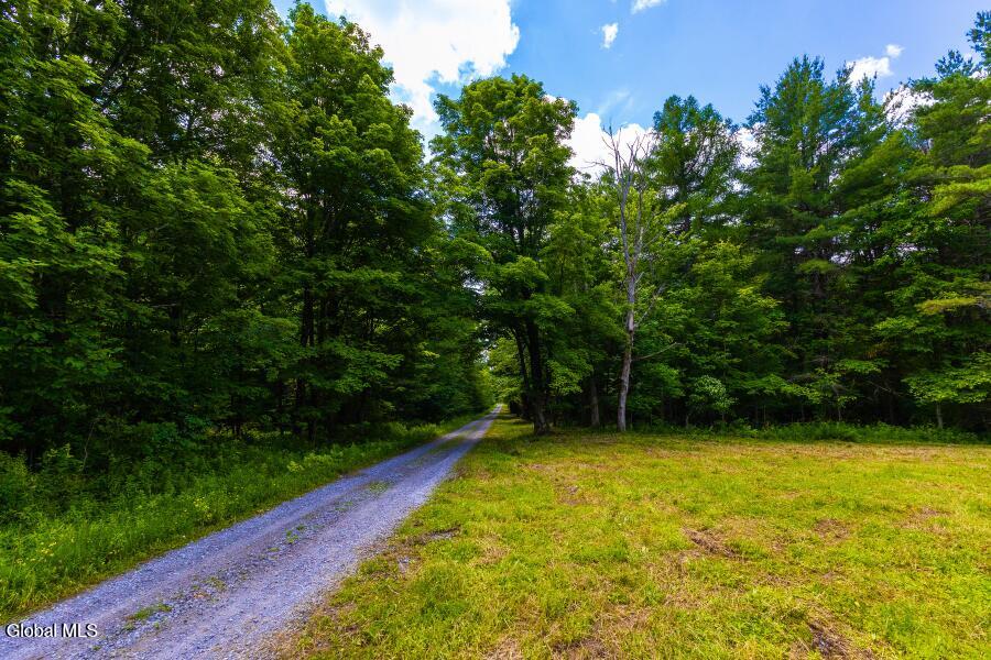 L4.111 Anderson Road Broome NY 12122