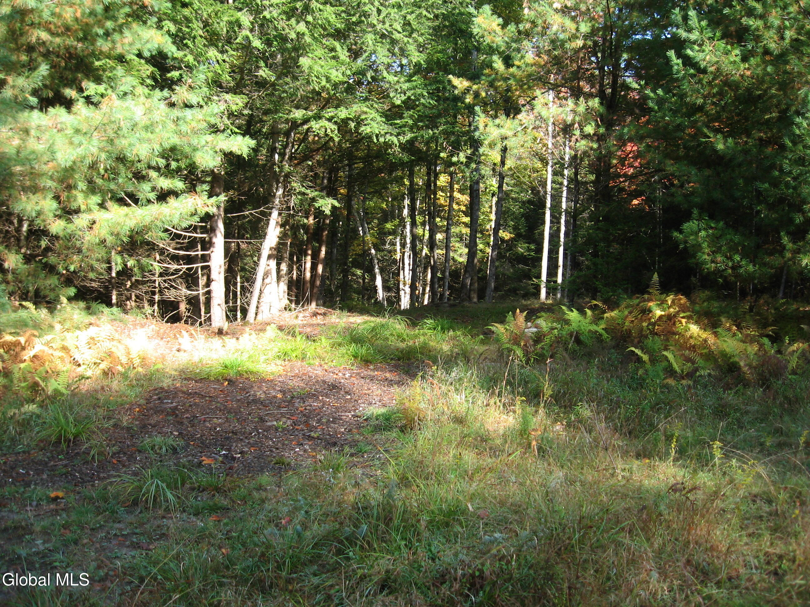 14 Granite Ridge Road Chestertown NY 12817