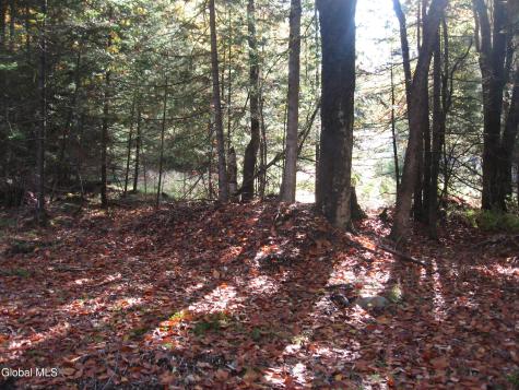 14 Granite Ridge Road Chestertown NY 12817