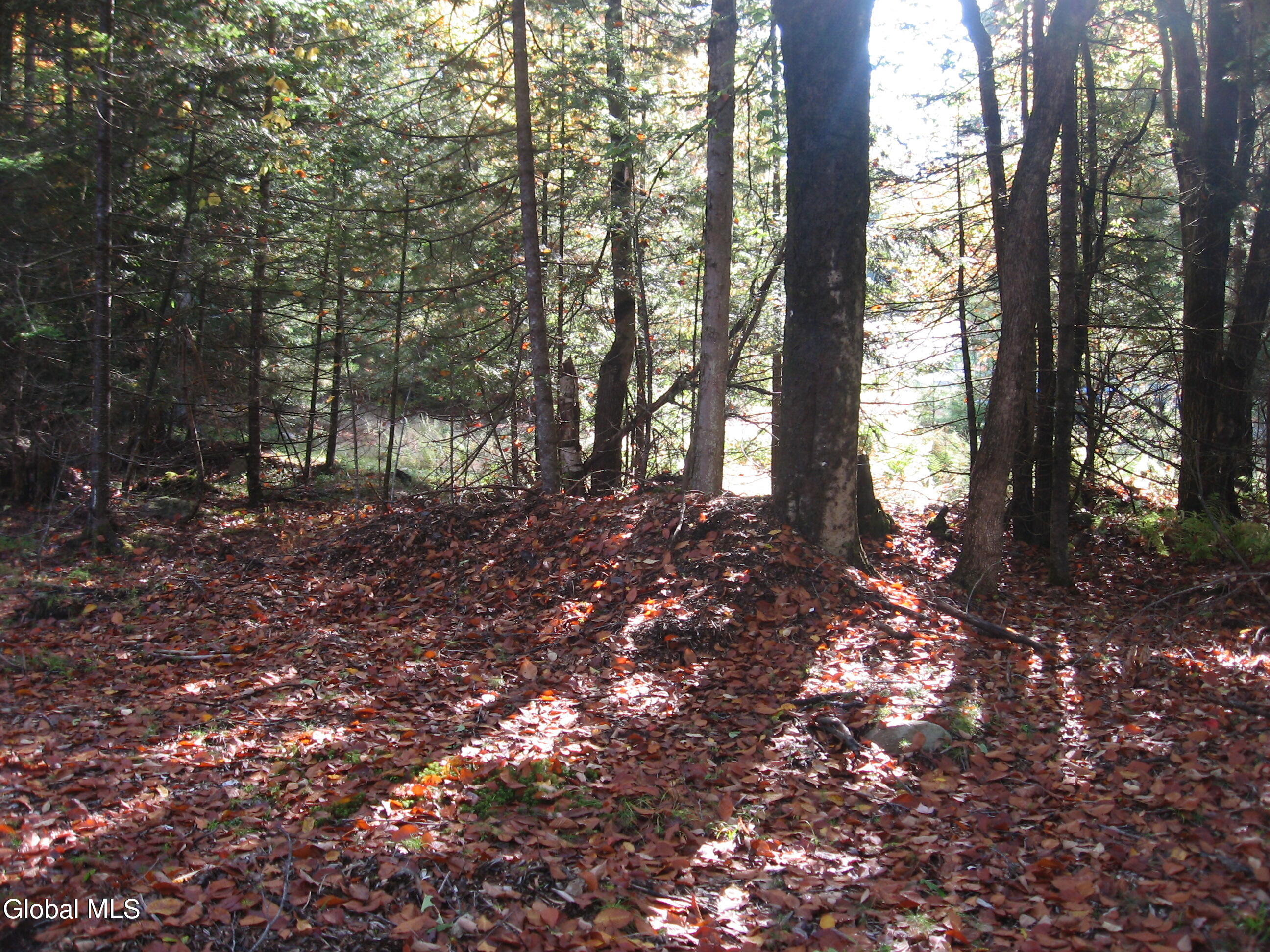 14 Granite Ridge Road Chestertown NY 12817