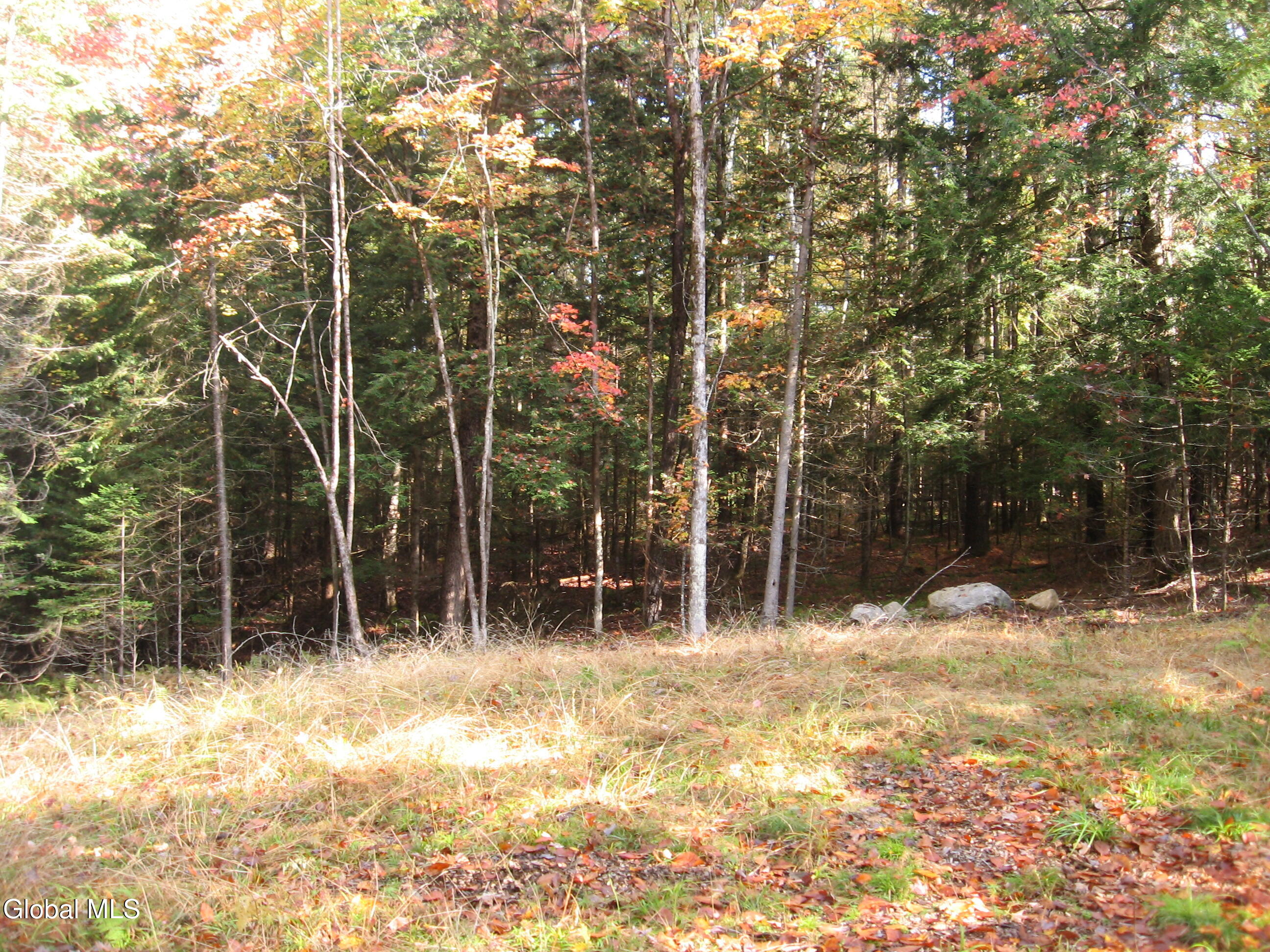 14 Granite Ridge Road Chestertown NY 12817
