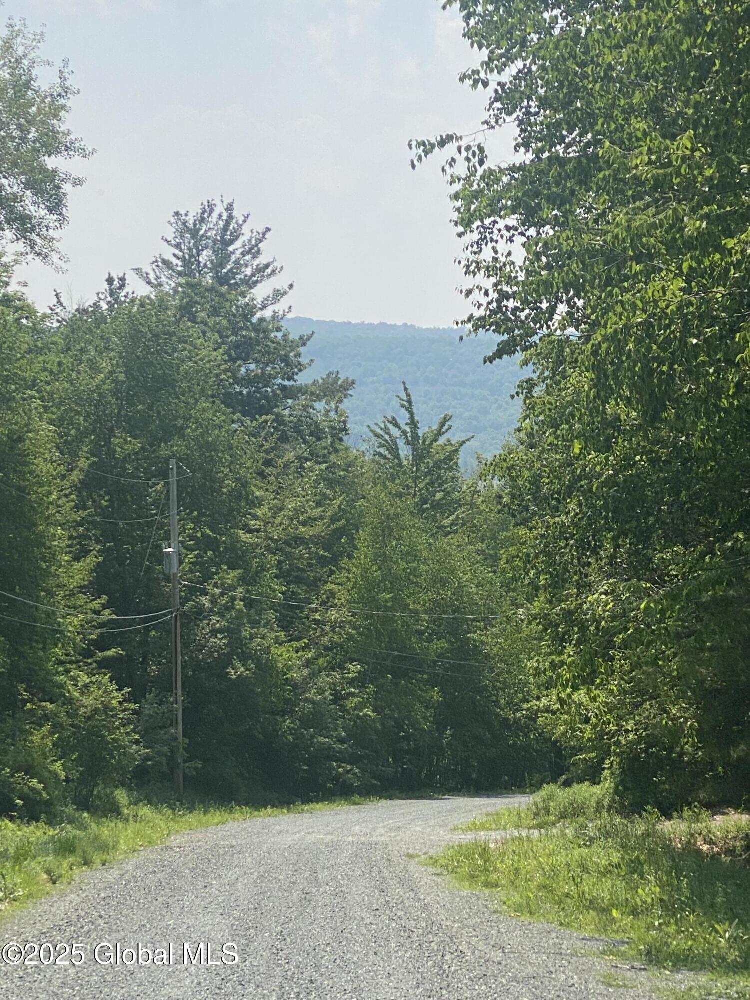 L20.44 Robinson Hollow Way Stephentown NY 12168