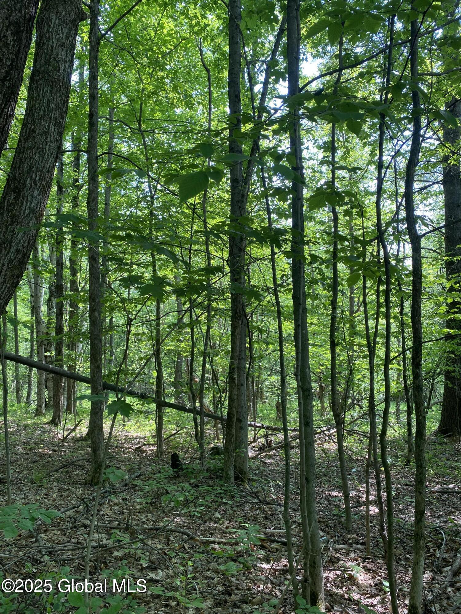 L20.44 Robinson Hollow Way Stephentown NY 12168