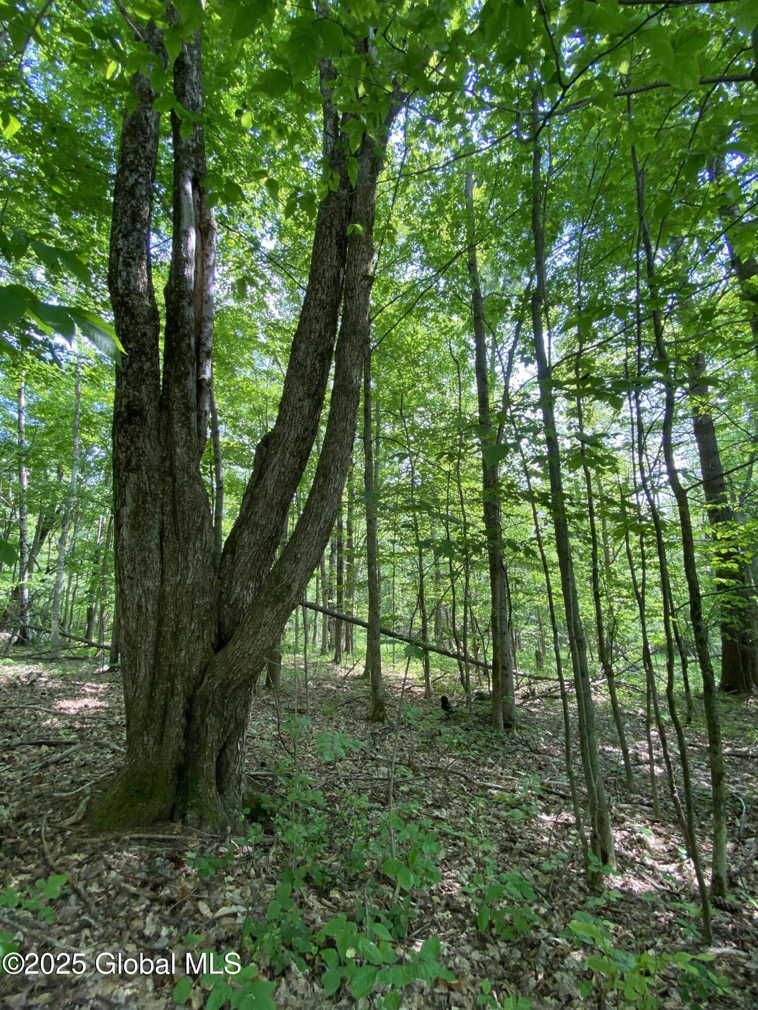 L20.44 Robinson Hollow Way Stephentown NY 12168