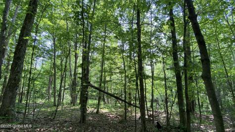 L20.44 Robinson Hollow Way Stephentown NY 12168