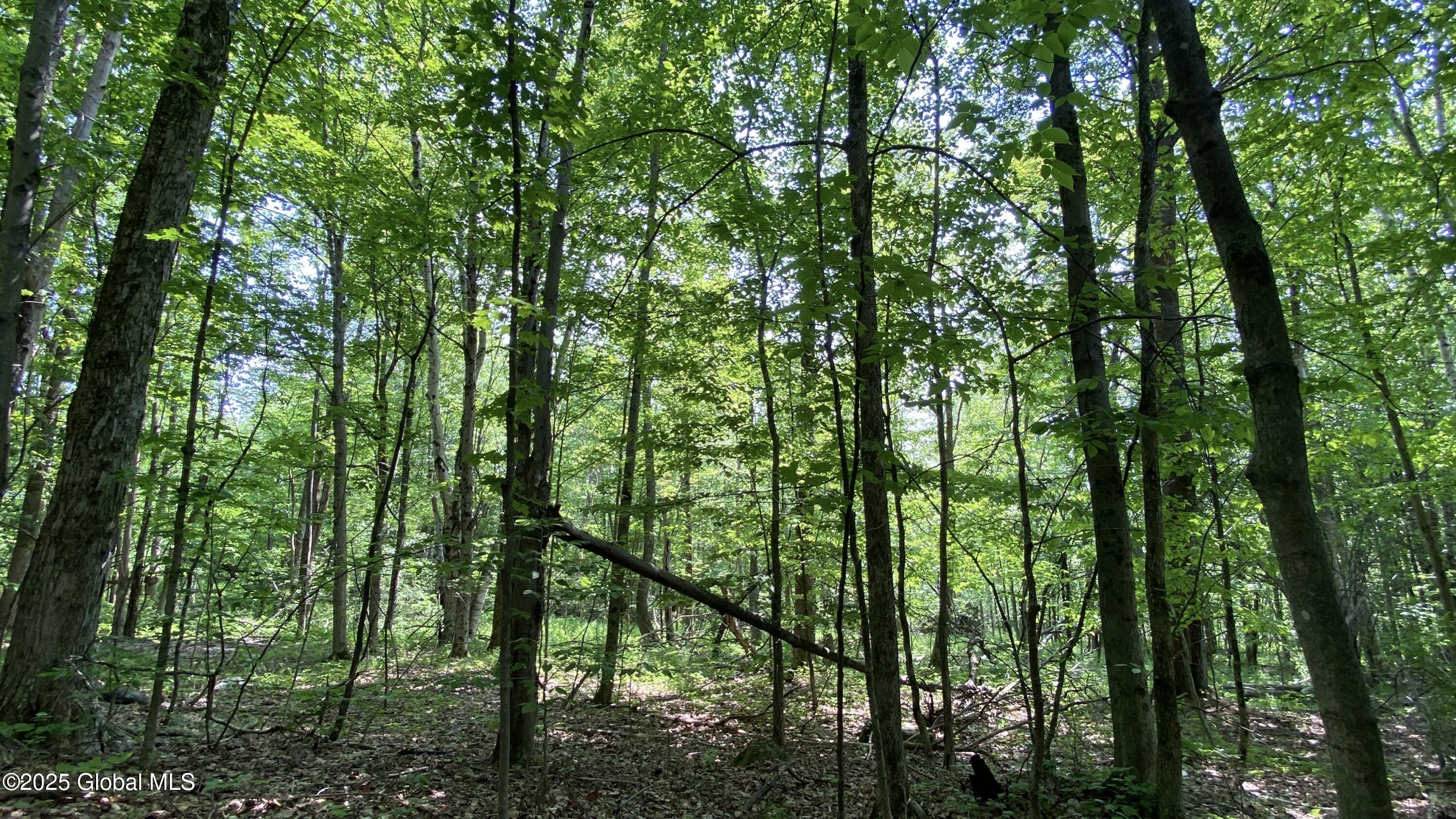 L20.44 Robinson Hollow Way Stephentown NY 12168