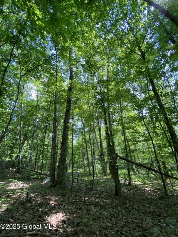 L20.44 Robinson Hollow Way Stephentown NY 12168