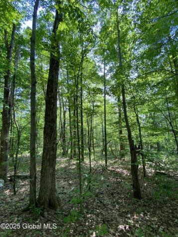 L20.44 Robinson Hollow Way Stephentown NY 12168
